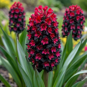 Гиацинт Джем Стоун купить по цене от 2099р. в интернет-магазине «Посадика» с доставкой почтой в в Солигаличе и по всей России – [изображение №1].